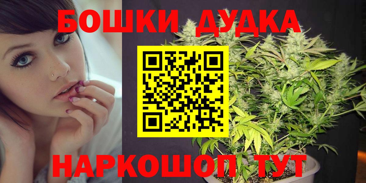 Каннабис планчик  Вход с VPN  Каннабис гибрид  Новосибирск  Каннабис SATIVA & INDICA 